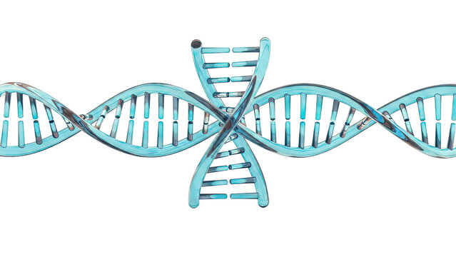 3D Blue DNA Double Helix on White Background - Powered by Adobe