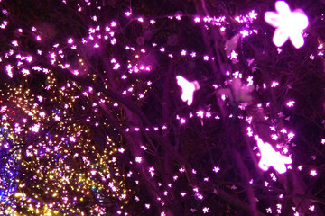 太田市「町民の森公園」の桜のイルミ