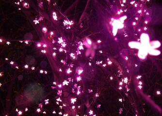 太田市「町民の森公園」の桜のイルミ2