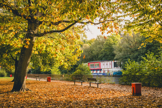 Theater boat on Isebekkanal in Hamburg during autumn with fallen leaves