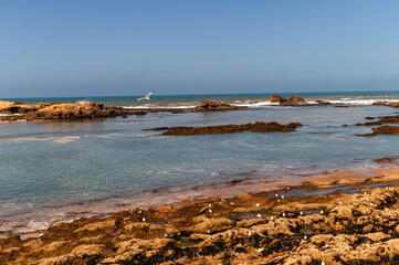 Scenic coastal view of Essaouira's beaches and tides under clear blue skies