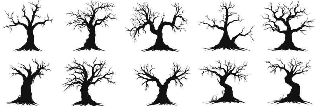 Collection of eerie twisted bare haunted trees silhouettes black and white vector illustration spooky dead branches flat minimalist style design Halloween theme