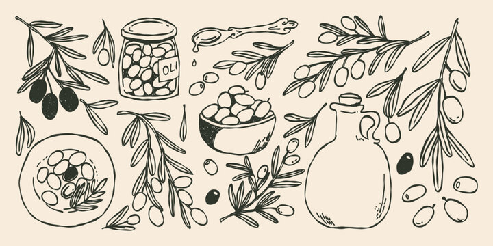Whimsical set of olives on a branch, plate with olives, olives in a jar, olive oil, branches with plant leaves. Hand drawn doodle line illustration.