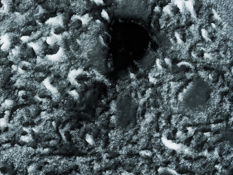 Aerial view of the stark, icy expanse of Lake Galve, where dark, unfrozen patches interrupt the monochrome snowscape, Trakai, Lithuania.
