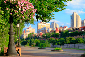 Naklejka premium beauty colorful urban park alley way spring blossom season landscaped view of road lantern hanging flower pot and blurred background of living building