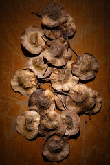 Still life photography of a pile of dried seeds arranged on an old wooden table. Seed art.