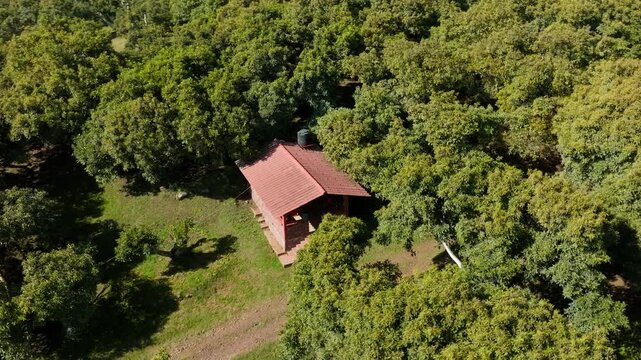 DRONE: ORBIT SHOT OF AN SMALL HOUSE IN THE MIDDLE OF AN AVOCADO FARM IN URUAPAN, MICHOAC&Aacute;N