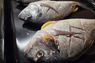 Fresh Raw Fish Ready for Cooking on Black Tray with Lemon Slices