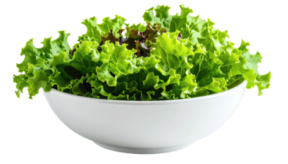 Freshly-harvested leafy green lettuce fills a white bowl against a solid black background