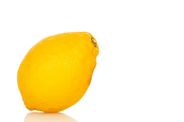 Fresh juicy yellow lemons isolated on white background, close-up.