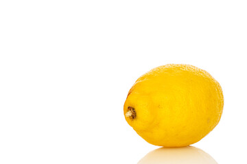 Fresh juicy yellow lemons isolated on white background, close-up.