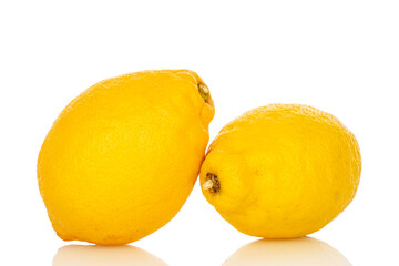 Fresh juicy yellow lemons isolated on white background, close-up.