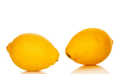 Fresh juicy yellow lemons isolated on white background, close-up.