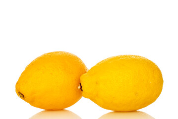 Fresh juicy yellow lemons isolated on white background, close-up.