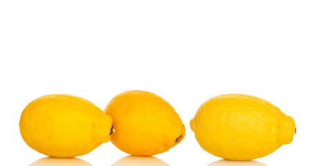 Fresh juicy yellow lemons isolated on white background, close-up.