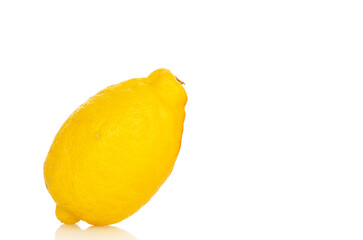 Fresh juicy yellow lemons isolated on white background, close-up.