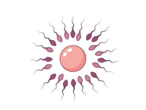 Illustration of multiple sperm surrounding a single ovum set against a white background
