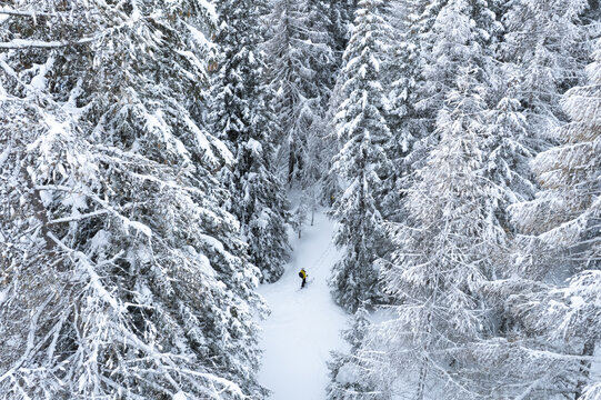Aerial view of a lone skier carving through a pristine, snow-dusted forest, a vibrant speck against the monochrome landscape, Crans-Montana, Valais, Switzerland. - Powered by Adobe