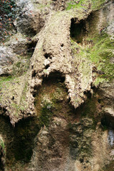 Jelasnicka Klisura, also known as Jelasnica Gorge is located in the southeastern part of Serbia, near the town of Nis