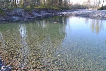 Clear water flows over rocks in a calm stream surrounded by trees and greenery during daytime