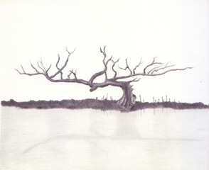 silhouette of a tree