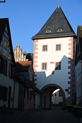 Obraz premium Gautor in Oppenheim