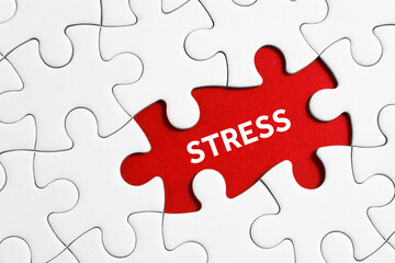 Fototapeta premium Stress word with jigsaw puzzle pieces