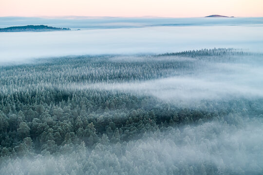 Aerial view of a frosted forest landscape shrouded in ethereal mist, the scene evoking a serene winter wonderland, Caledonian Forest, Cairngorms National Park, Scotland.