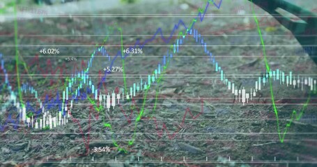 The ground is being swept with a broom in the park - Powered by Adobe