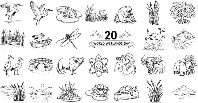 World Wetlands Day vector icons: birds, animals, plants, bridge, and scientific symbols in line art style