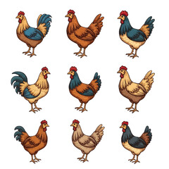 Colorful hand-drawn illustrations of various chickens and roosters on white background.