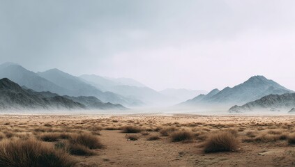 Expansive arid landscape with hazy mountains under a muted sky