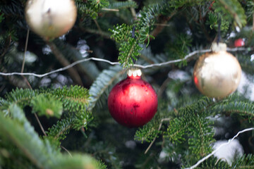 Red balls on the Christmas tree. The balls are made of glass.