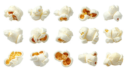 Isolated, freshly popped popcorn kernels against a stark black background, arranged in rows
