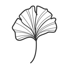 Ginkgo Biloba Floral Illustration: Hand-Drawn Nature Art
