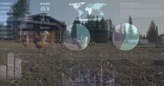 Farm data dashboard being animated over chicken run with six chickens in flat design, showing coop