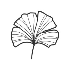 Elegant Hand-Drawn Ginkgo Floral Illustration: Nature's Art
