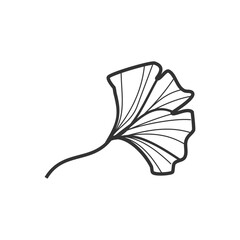 Beautiful Ginkgo Leaves and Flowers: Hand-Drawn Artwork
