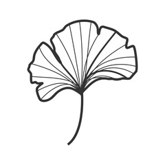 Unique Ginkgo Floral Illustration: Hand-Drawn Botanical Beauty
