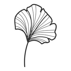Artistic Ginkgo Leaf and Flower Sketch: Hand-Drawn Illustration
