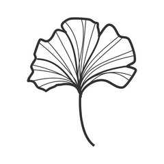 Ginkgo Biloba Floral Illustration: Hand-Drawn Nature Art
