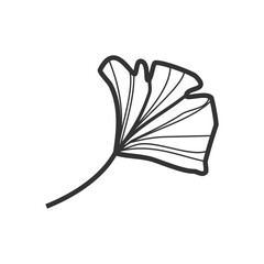 Whimsical Ginkgo Leaf and Flower Illustration: Hand-Drawn Charm
