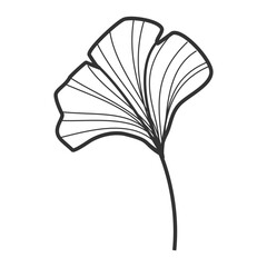 Elegant Hand-Drawn Ginkgo Floral Illustration: Nature's Art
