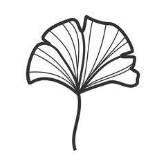 Beautiful Ginkgo Leaves and Flowers: Hand-Drawn Artwork
