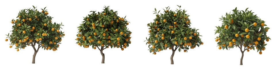 Set For trees with green leaves and orange fruits isolated on transparent background