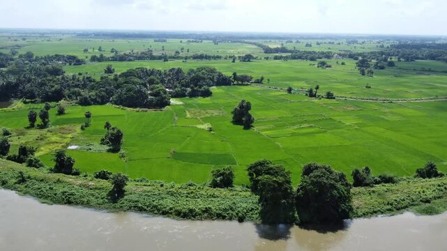 Drone Shot of Beautiful Rural Landscape with Green Fields and River in India.