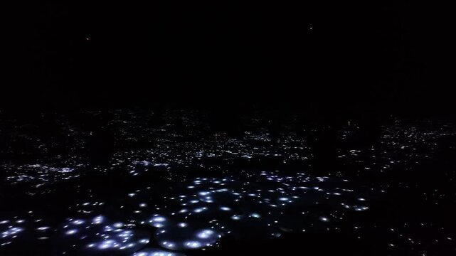 TeamLab Planets Tokyo Immersive Digital Art Museum Experience in Japan