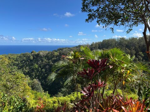 Tropical coastline with blue ocean and lush forest