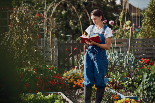 Person writing in a notebook while gardening on a London allotment