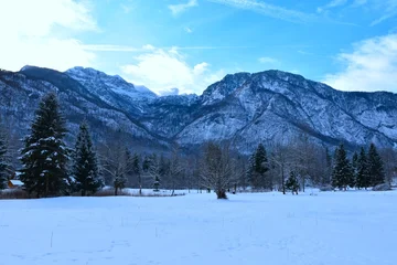 Fotobehang Alpen Snow covered field with trees and mountains in Julian alps in Gorenjska, Slovenia  © kato08